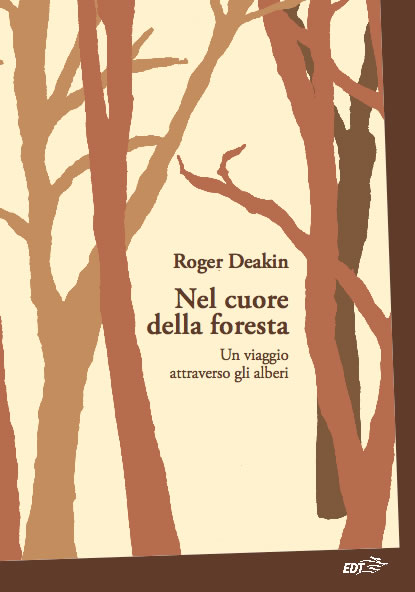 nel cuore della foresta.jpg